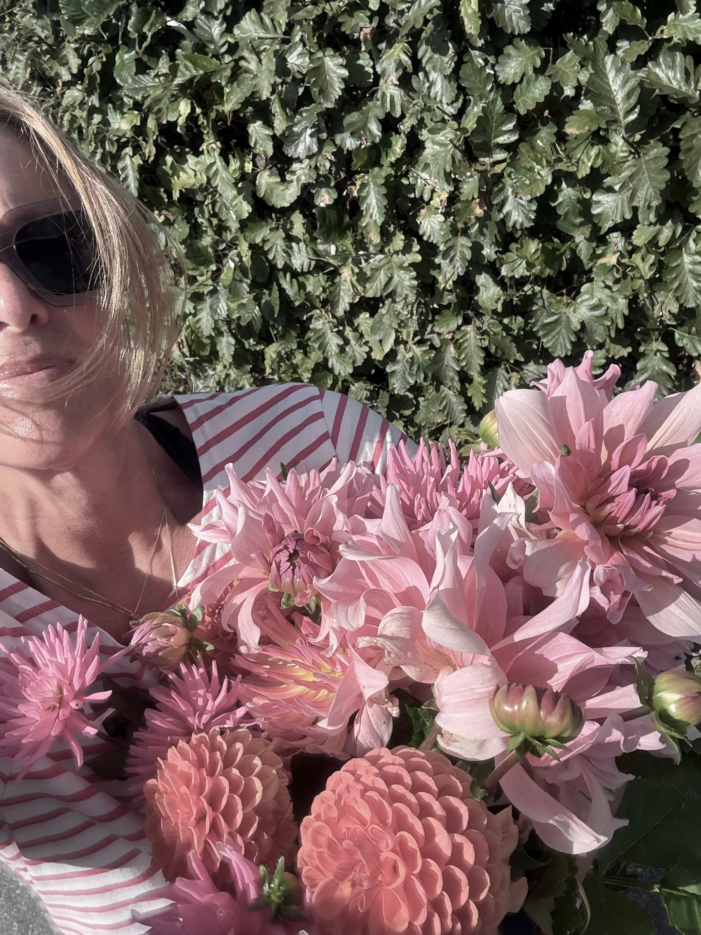 Malin Nääs med ett knippe rosa dahlior